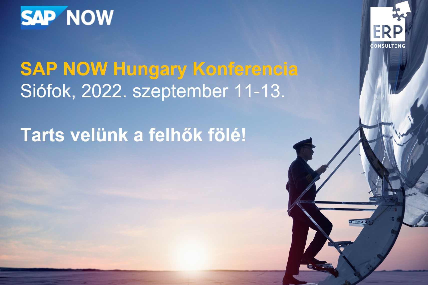 Sapnow Erp Logoval5 Copy